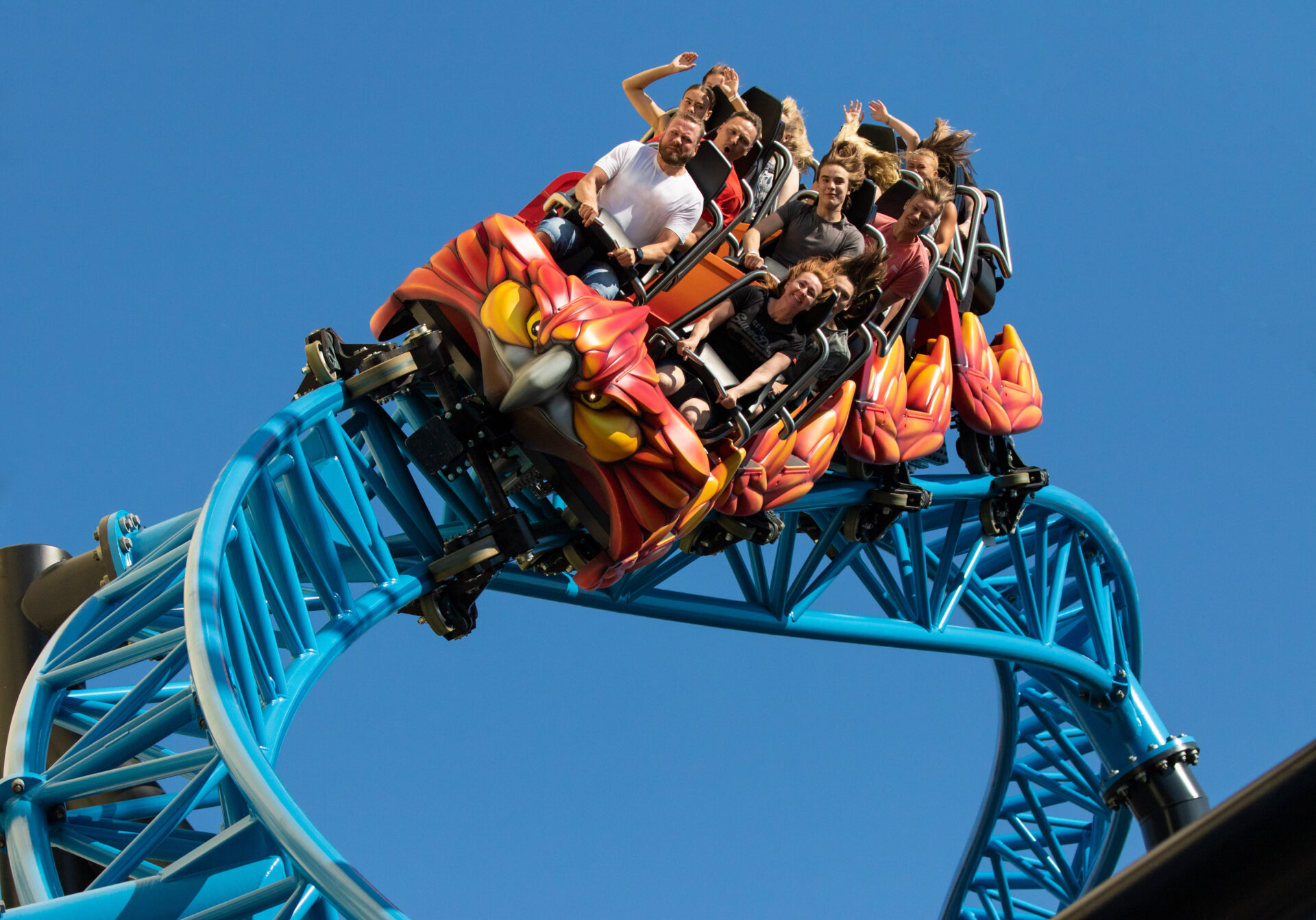 Roller Coaster Suppliers