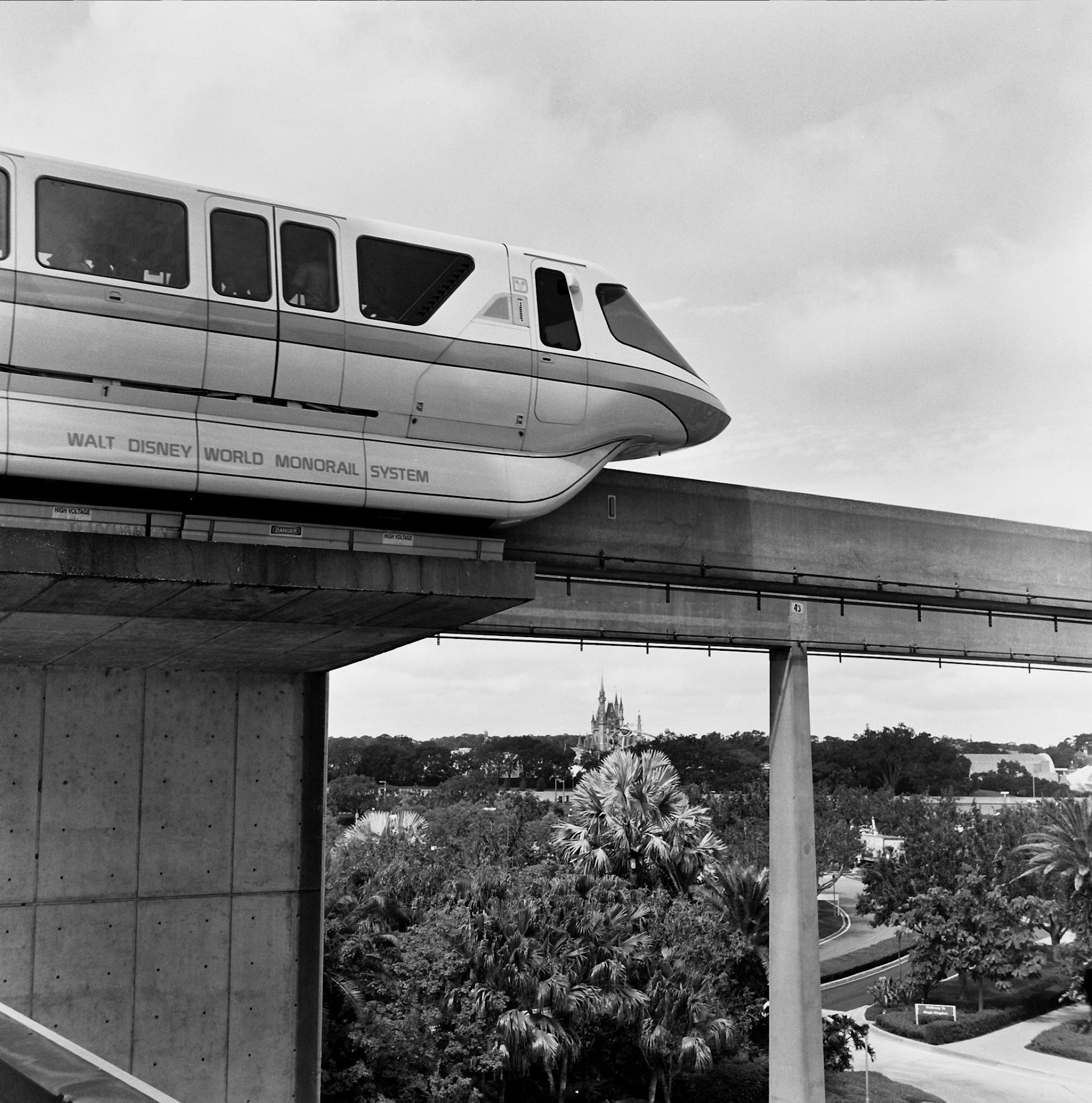 Theme Park Suppliers