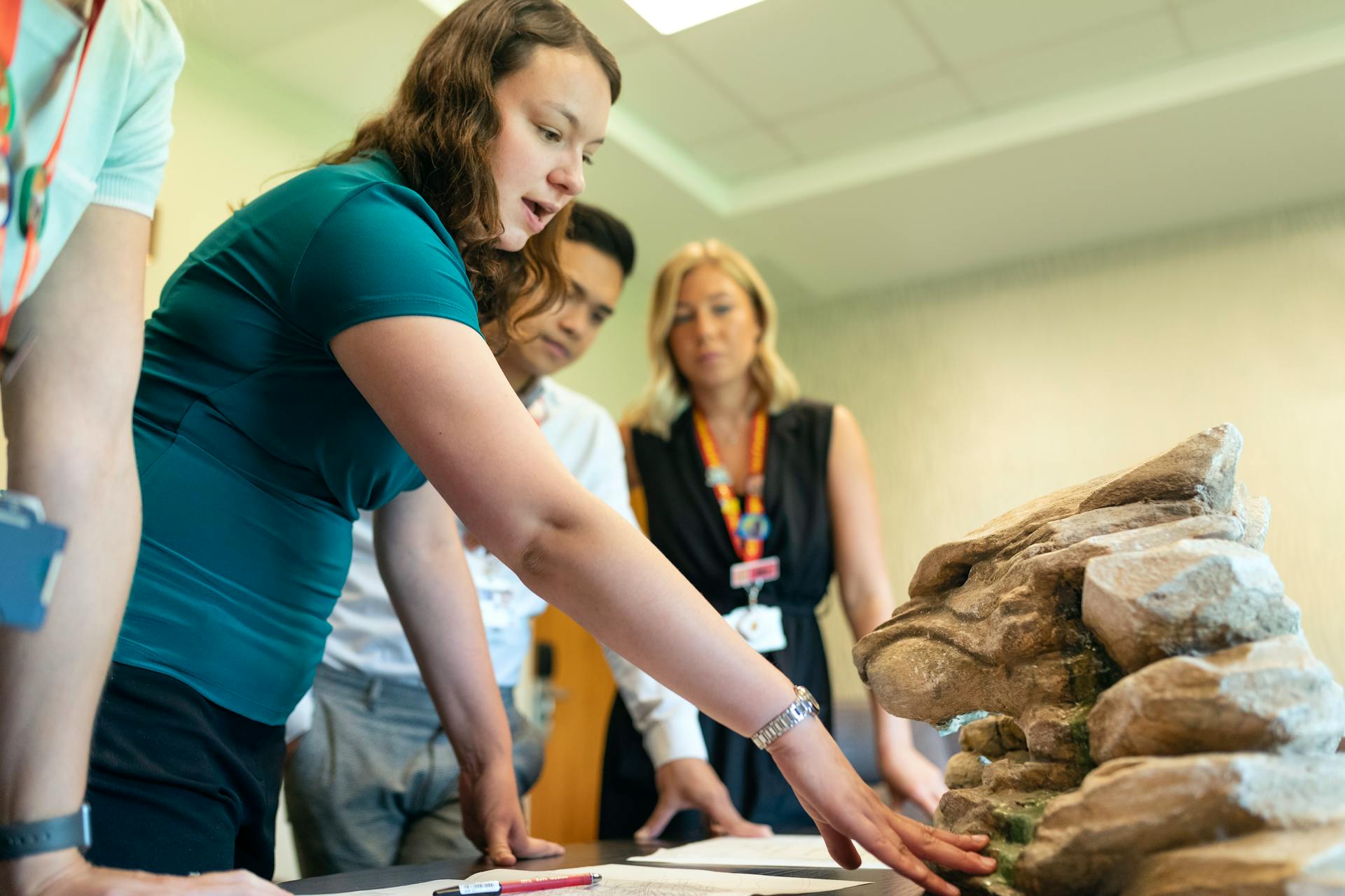 Theme Park Consulting