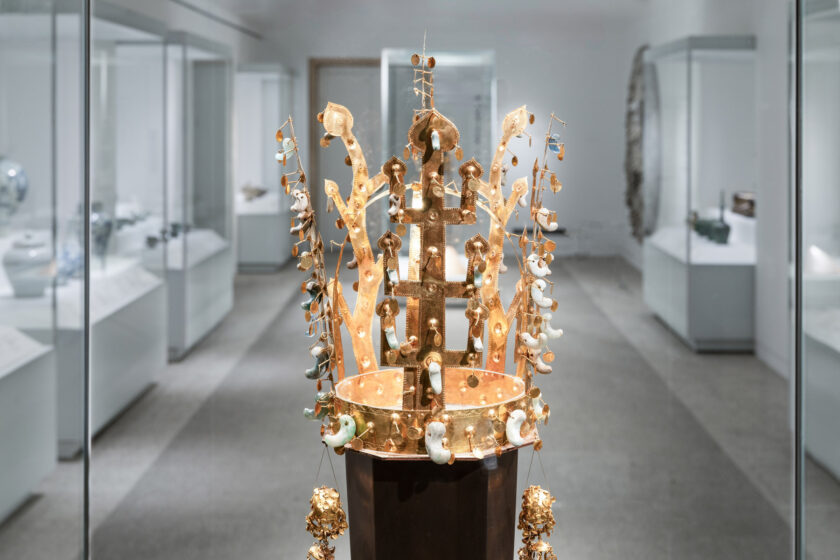 Museum Display Case Supplier / Museum Display Cases