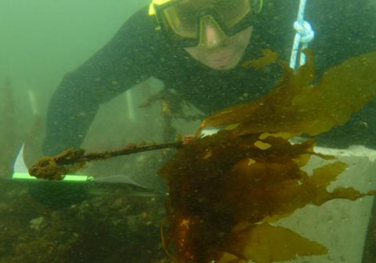 Aquatic Life Support