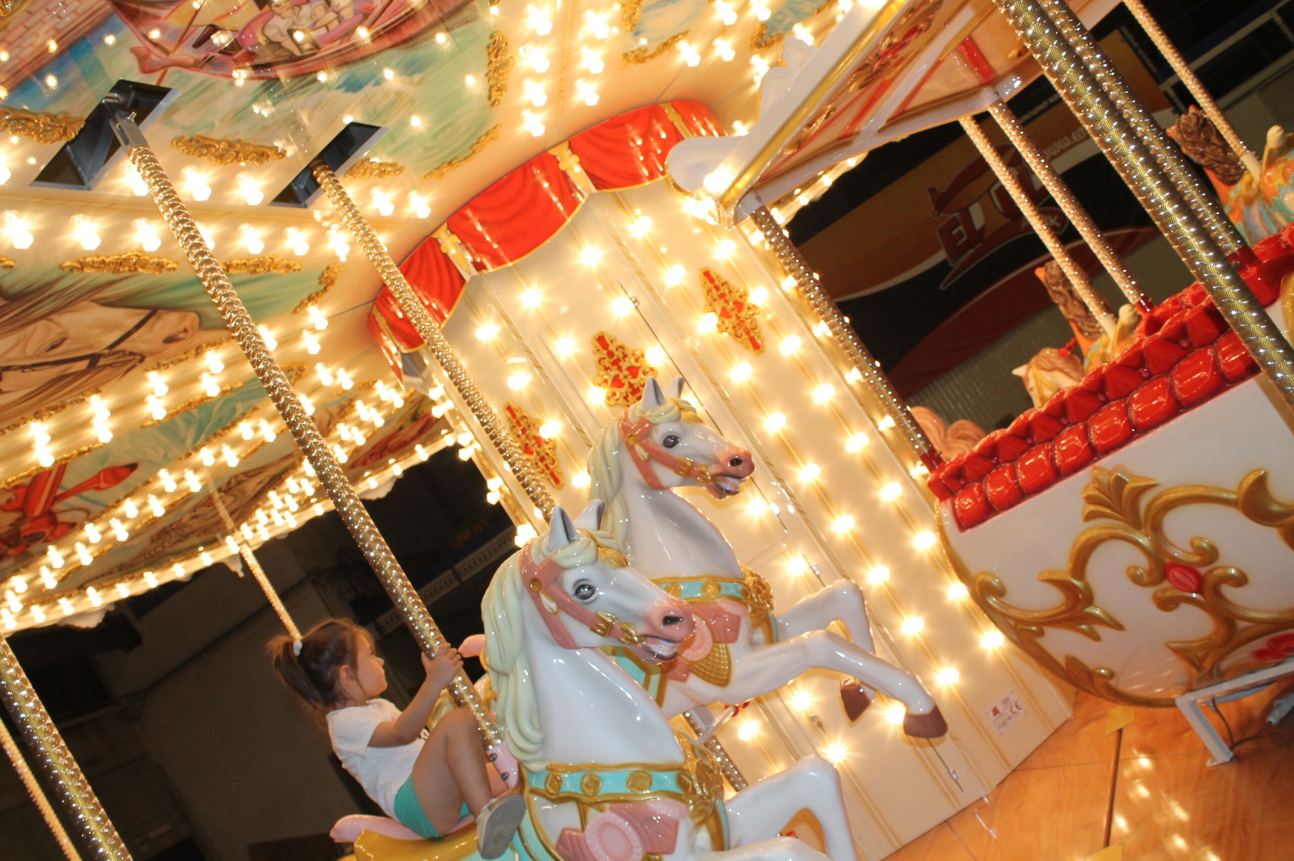 Luxury Carousel and Family Ride Manufacturer